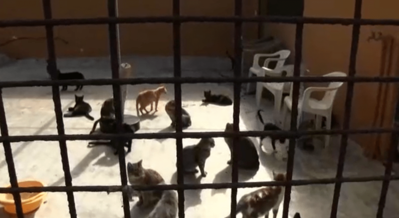 La canción fue grabada en el Albergue Insular (Foto TA)